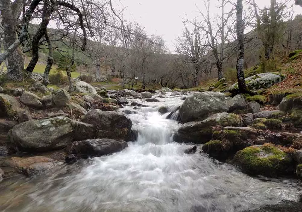 Arroyo del Aguilón