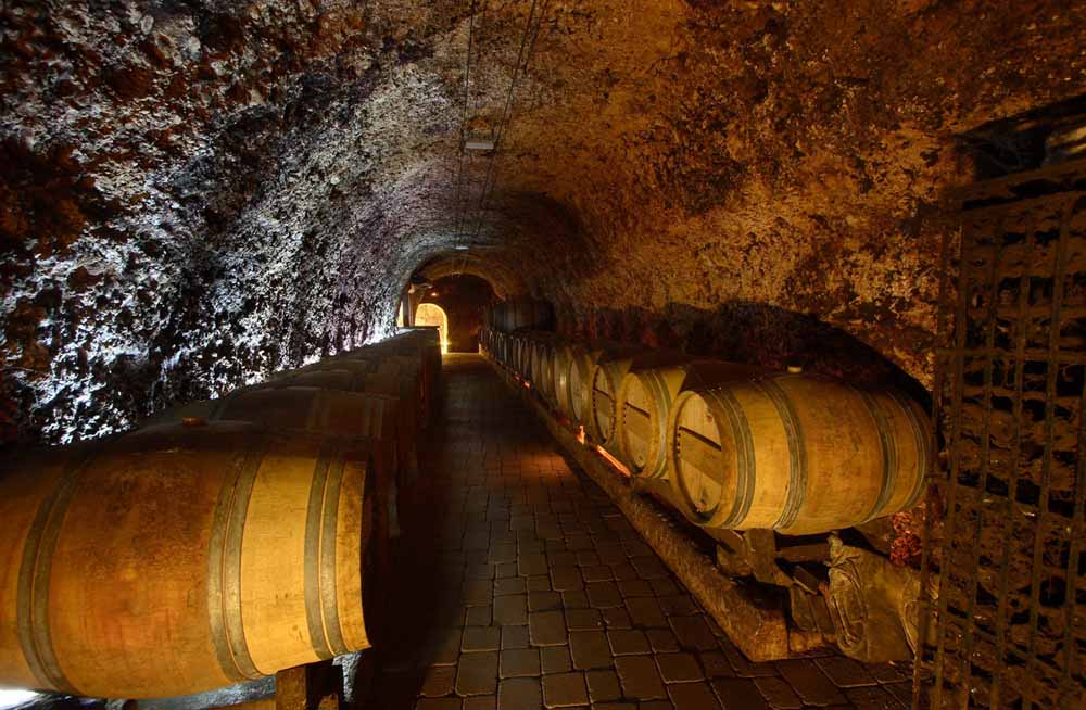 cuevas-laguardia-el-fabulista