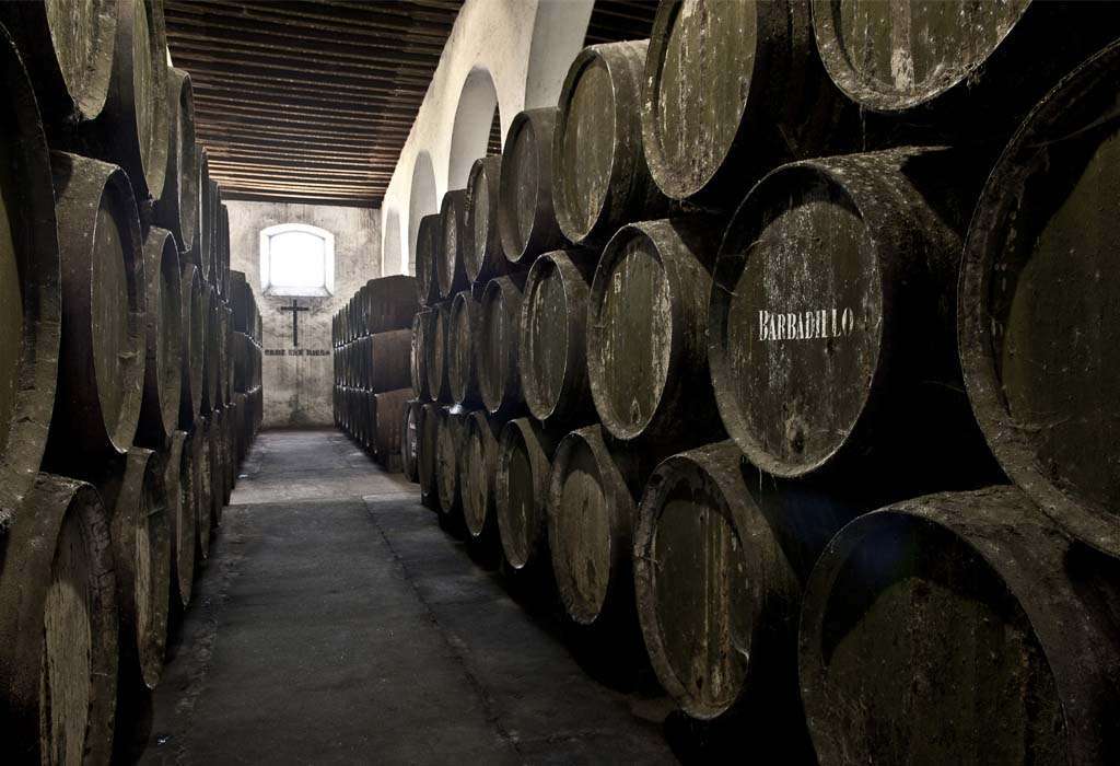 bodega-barbadillo-2-catedral