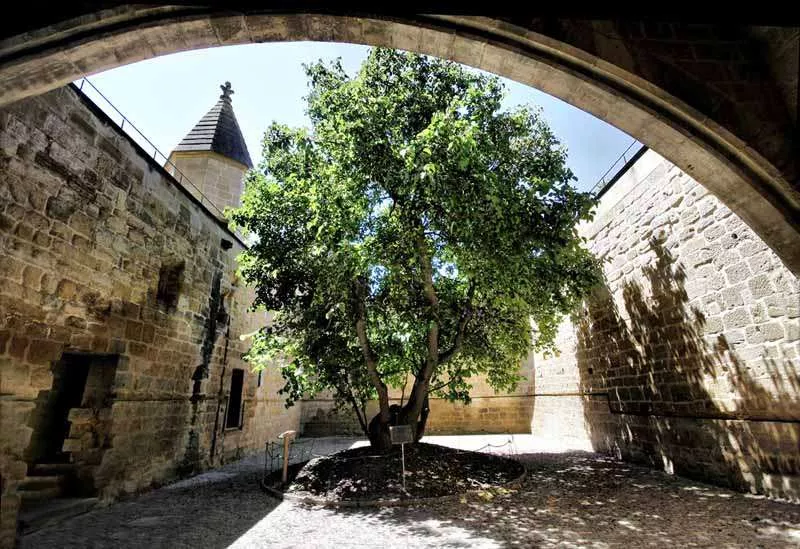 Castillo-de-Olite-la-morera-3