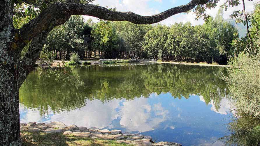 las-presillas-4