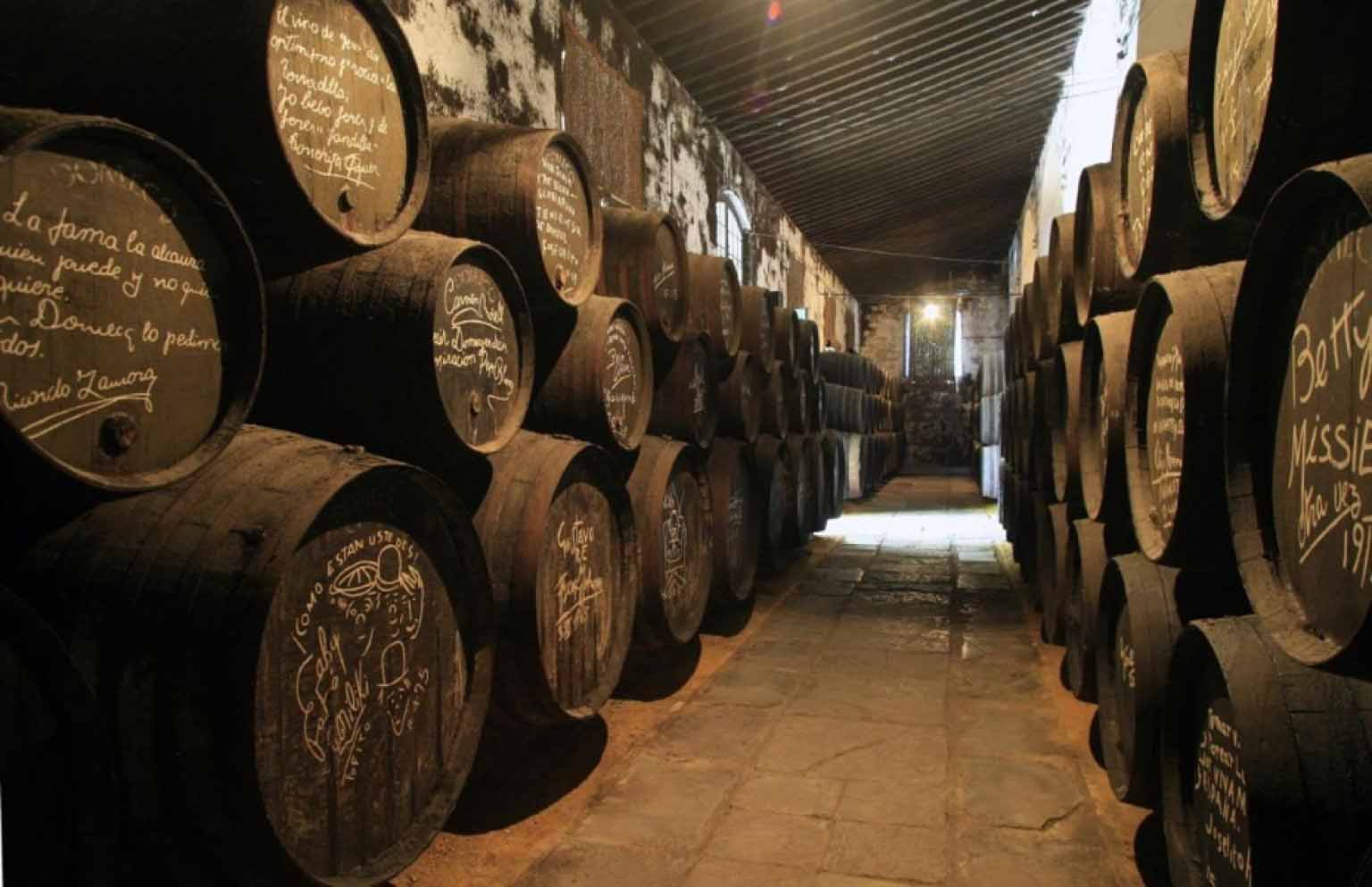 Las visitas a la bodega Gonzales Byass