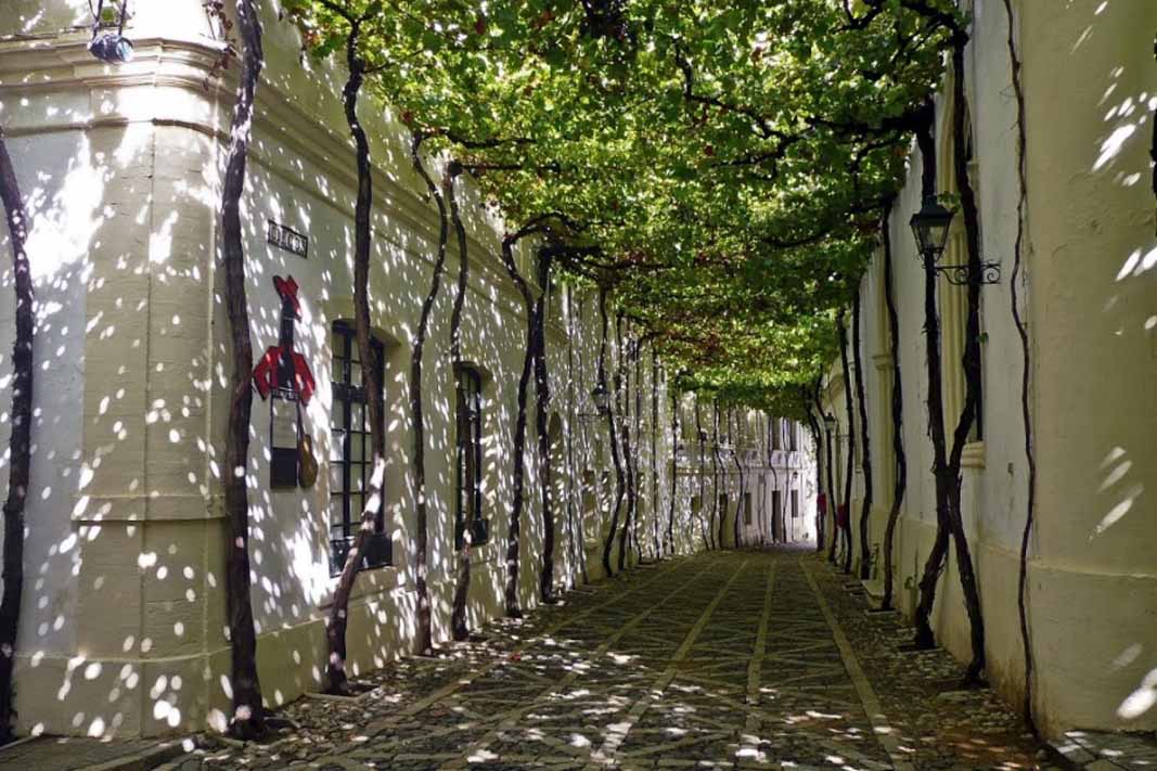 Belleza bodega Gonzales Byass