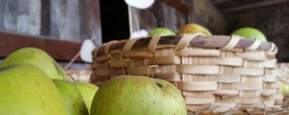 la sidra española y la manzana