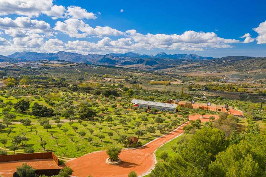 Almazara LA Organic y su paisaje